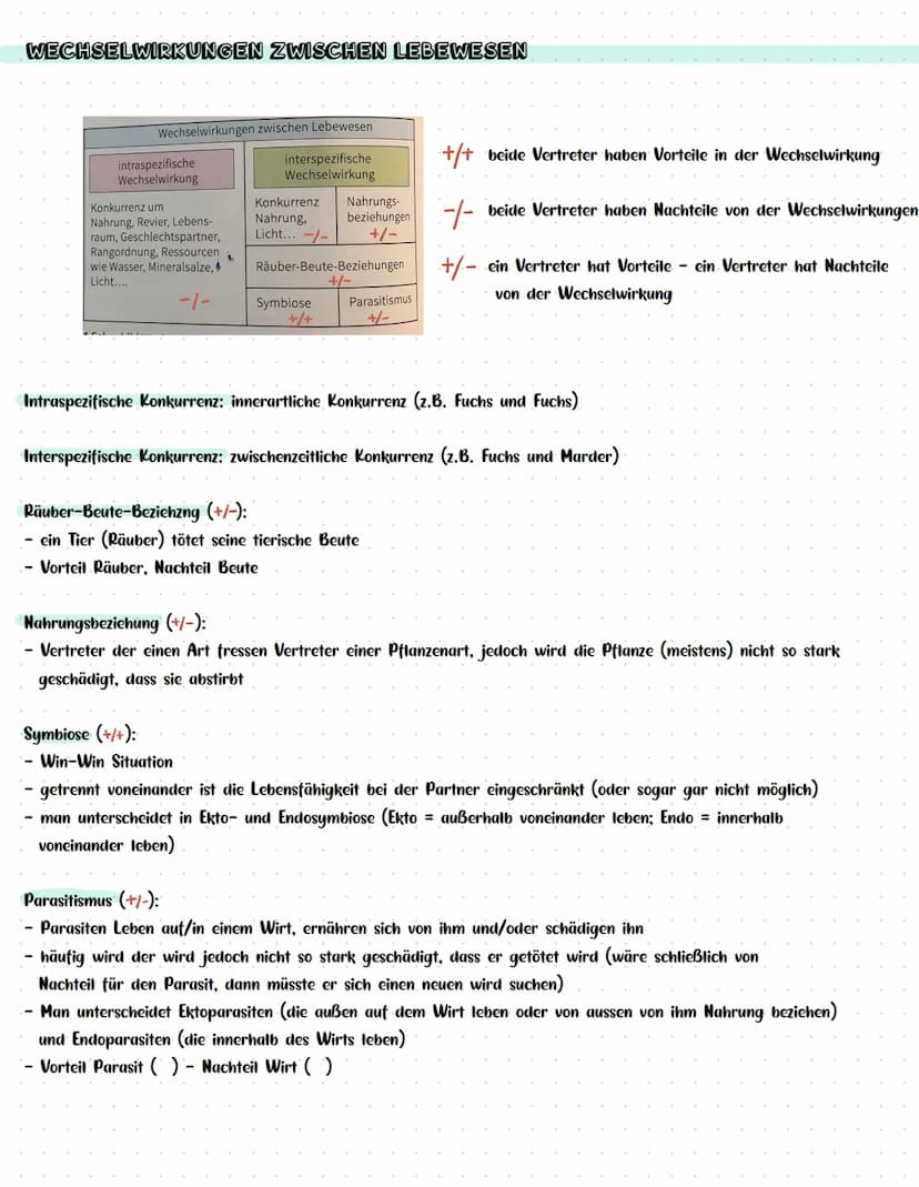 Vitalität (z. B. Wachstum)
BIOLOGIEKLAUSUR NR. 3
Wind
ÖKOLOGIE
Wasser-
verfüg-
barkeit im,
Boden
Luft-
feuchtig-
keit
Kon-
kurrenten,
Lichts