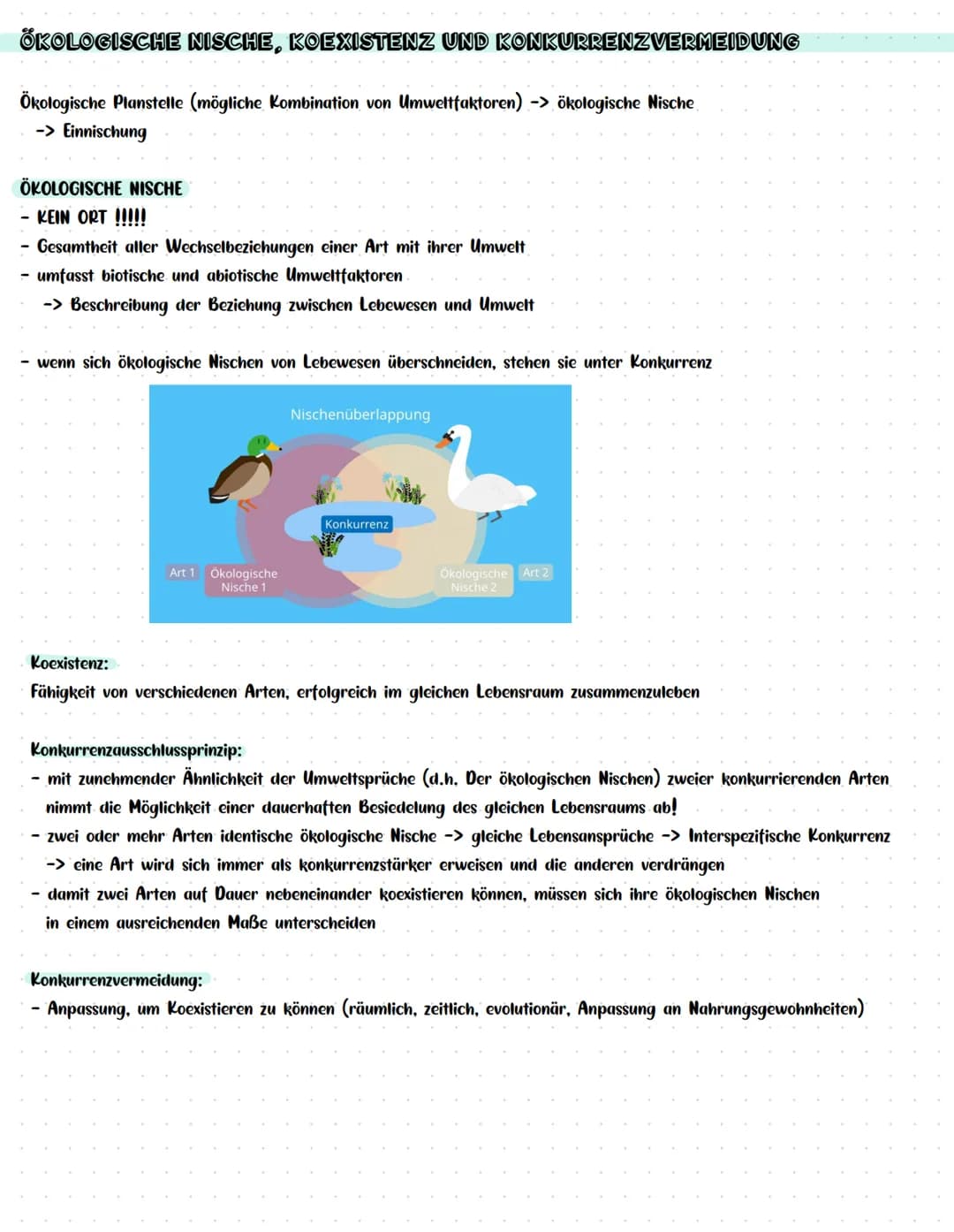 Vitalität (z. B. Wachstum)
BIOLOGIEKLAUSUR NR. 3
Wind
ÖKOLOGIE
Wasser-
verfüg-
barkeit im,
Boden
Luft-
feuchtig-
keit
Kon-
kurrenten,
Lichts
