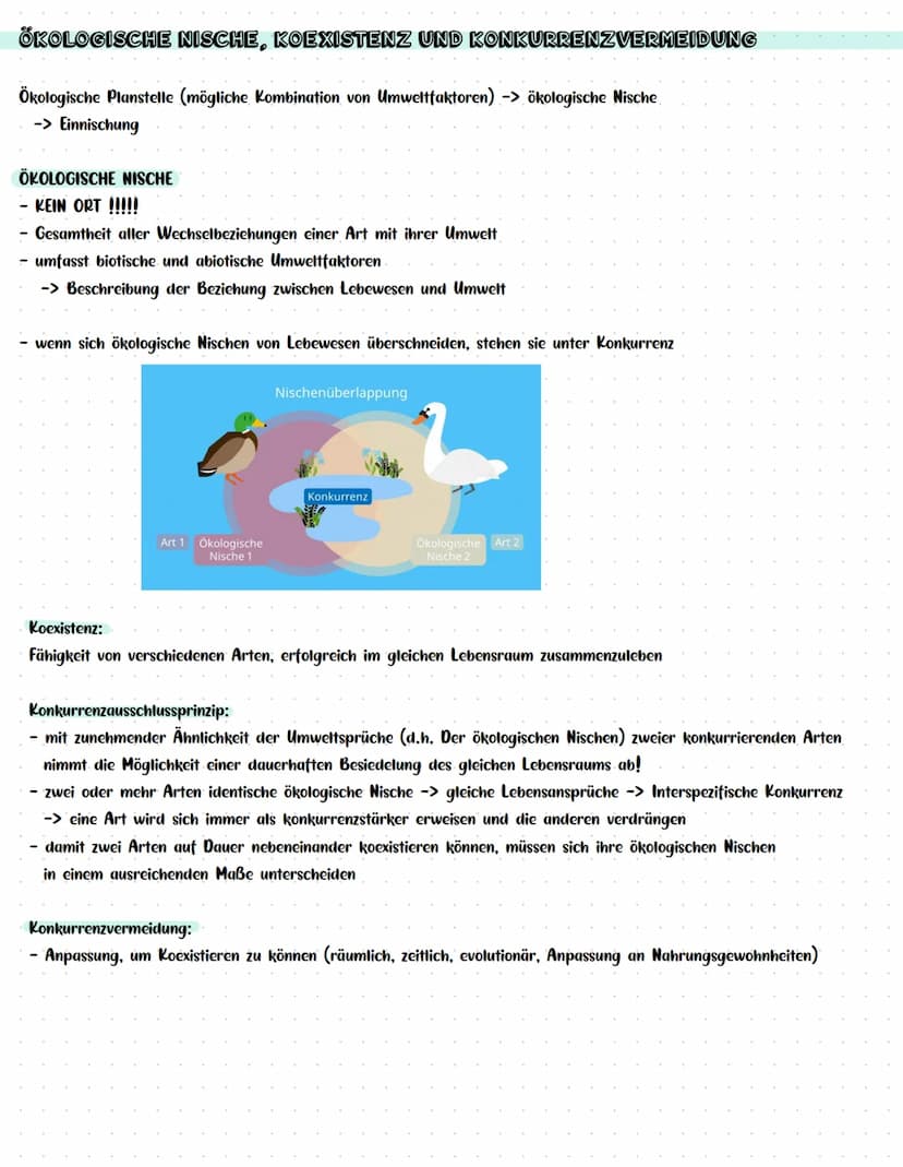 Vitalität (z. B. Wachstum)
BIOLOGIEKLAUSUR NR. 3
Wind
ÖKOLOGIE
Wasser-
verfüg-
barkeit im,
Boden
Luft-
feuchtig-
keit
Kon-
kurrenten,
Lichts