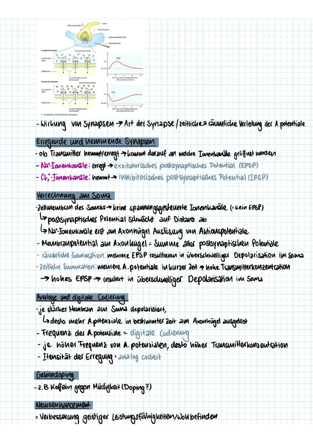 nervenzellen (Natura, S.240-5.260)
Sonntag, 25. Oktober 2020 17:40
Vom Reiz zur Reaktion
- Reize (2.B Licht) → Sinnesorgan> Weiterleitung el