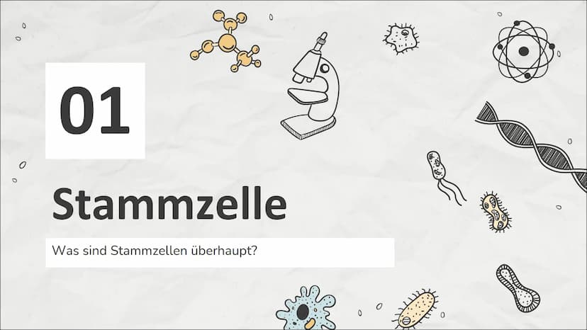 0
0
Stammzellen
Einführung in die Stammzellenforschung
0
M 0
CH3
NO
!
CH3
Inhaltsverzeichnis
01
Stammzelle
Was sind Stammzellen
überhaupt?
0