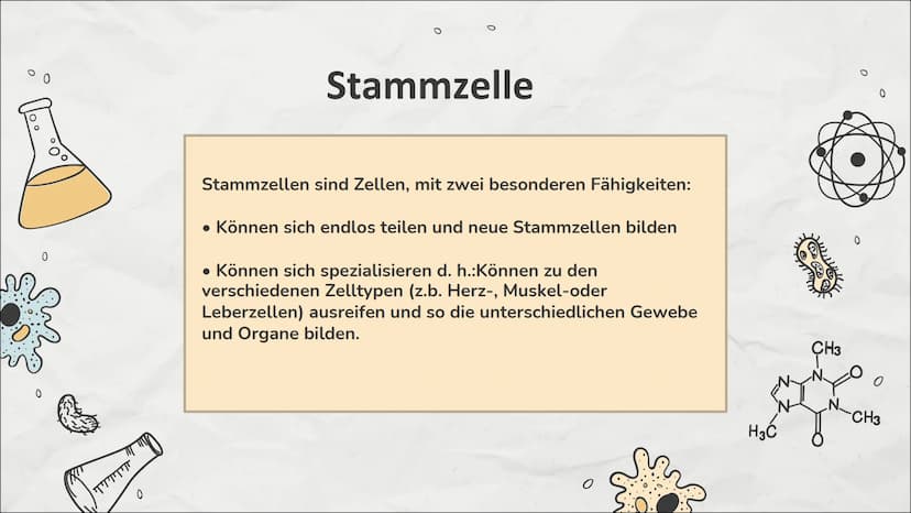 0
0
Stammzellen
Einführung in die Stammzellenforschung
0
M 0
CH3
NO
!
CH3
Inhaltsverzeichnis
01
Stammzelle
Was sind Stammzellen
überhaupt?
0