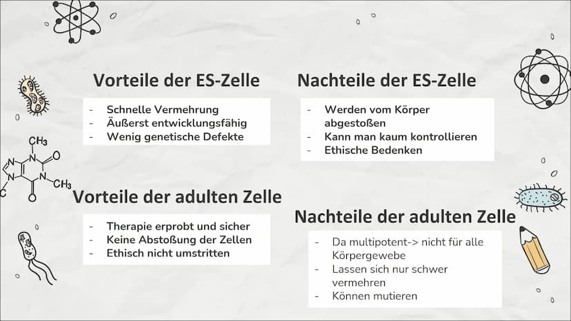 0
0
Stammzellen
Einführung in die Stammzellenforschung
0
M 0
CH3
NO
!
CH3
Inhaltsverzeichnis
01
Stammzelle
Was sind Stammzellen
überhaupt?
0