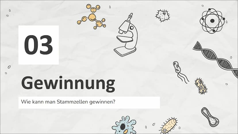 0
0
Stammzellen
Einführung in die Stammzellenforschung
0
M 0
CH3
NO
!
CH3
Inhaltsverzeichnis
01
Stammzelle
Was sind Stammzellen
überhaupt?
0