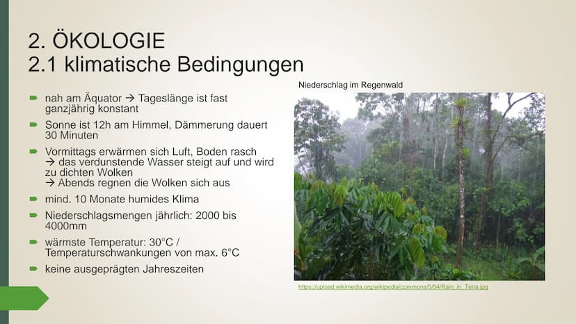 ►https://amazonas.de/wp-content/uploads/2018/07/tropischer-
regenwald-pixabay_1030.jpg
Der
tropische
Regenwald
➡https://amazonas.de/wp-conte