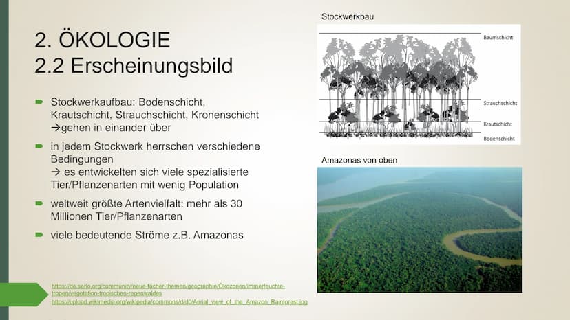 ►https://amazonas.de/wp-content/uploads/2018/07/tropischer-
regenwald-pixabay_1030.jpg
Der
tropische
Regenwald
➡https://amazonas.de/wp-conte