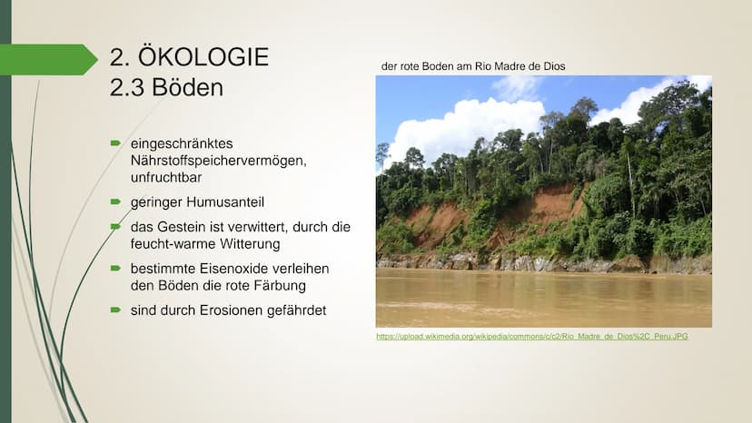 ►https://amazonas.de/wp-content/uploads/2018/07/tropischer-
regenwald-pixabay_1030.jpg
Der
tropische
Regenwald
➡https://amazonas.de/wp-conte