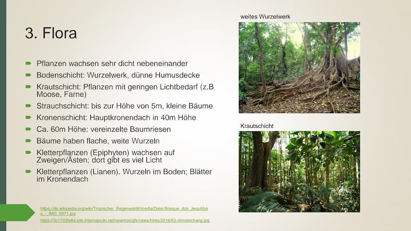 ►https://amazonas.de/wp-content/uploads/2018/07/tropischer-
regenwald-pixabay_1030.jpg
Der
tropische
Regenwald
➡https://amazonas.de/wp-conte