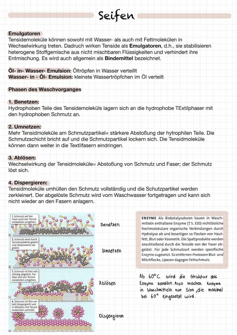 Seifen
Herstellung:
Fette sind Gemische verschiedener Gycerinester mit unterschiedlichen Fettsäuren. Mit
Natron- oder Kalilauge reagieren Gl