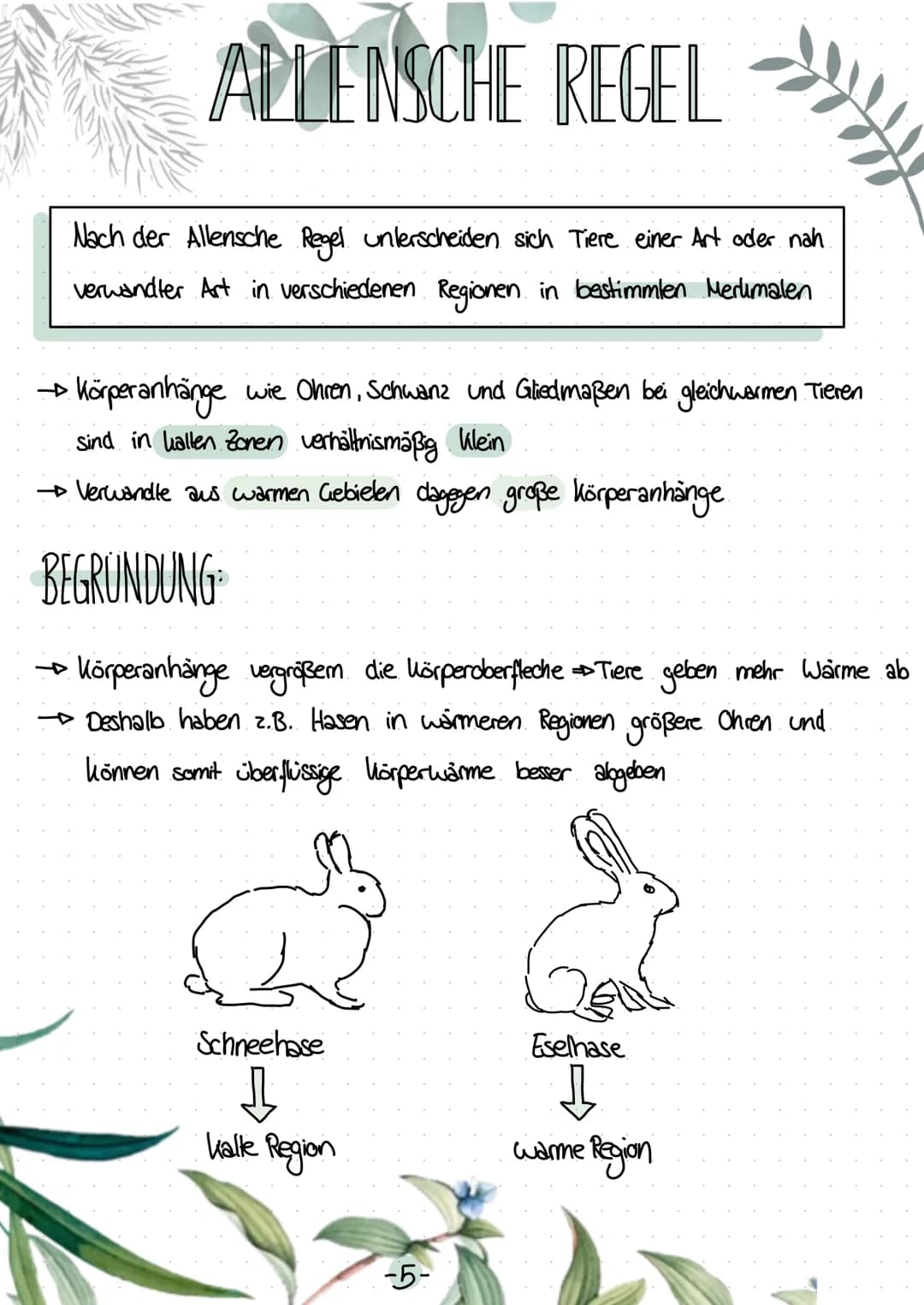 BERGMANNSCHE REGEL
ENDOTHERME TIERE
• Säugetiere und Vögel konstante Körpertemperatur (je nach Tierart 35-44°C)
Energie wird von einer Form 