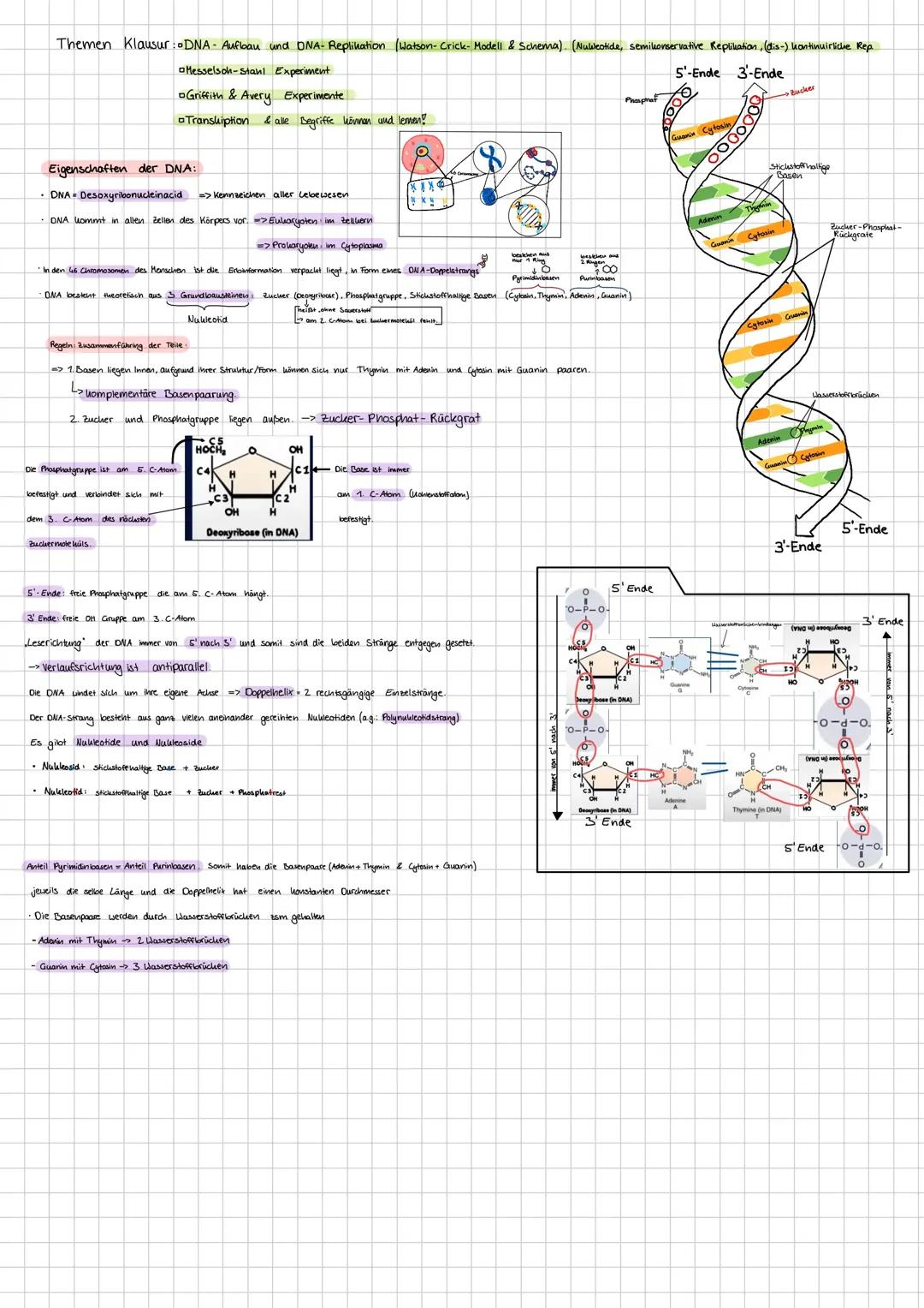 DNA Aufbau & Struktur, dna-replikation, Transkription, Griffith & Avery Experiment.