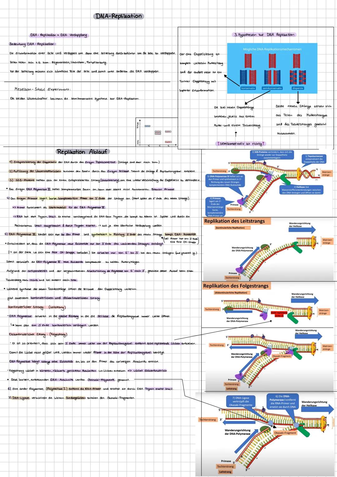 Themen Klausur: DNA Aufbau und DNA- Replikation (Watson- Crick- Modell & Schema). (Nukleotide, semikonservative Replikation, (dis-) kontinui