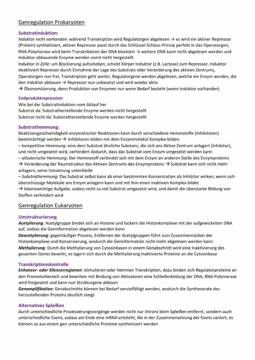 Genetik
Vererbung
Chromosom
Centromer
Chromatid
Genotyp
Phänotyp, Phän
Genom
Gen
Allel
dominant
rezessiv
Kodominanz
Dominant-rezessiver Erbg