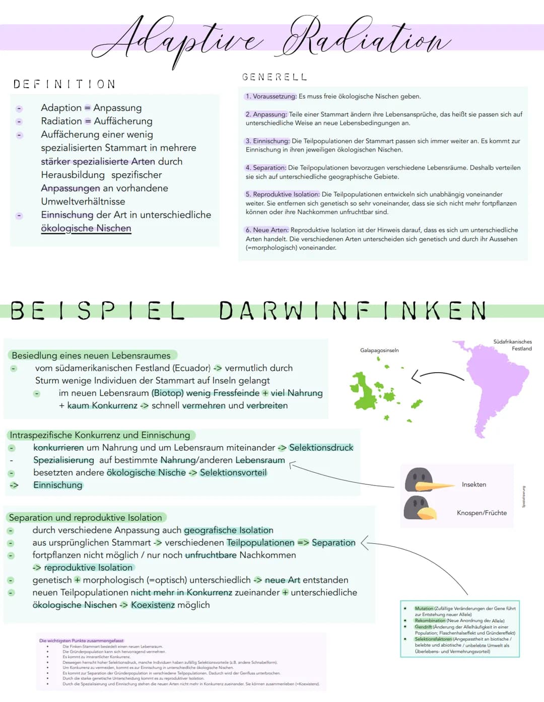 Adaptive Radiation
DEFINITION
Adaption Anpassung
Radiation = Auffächerung
Auffächerung einer wenig
spezialisierten Stammart in mehrere
stärk