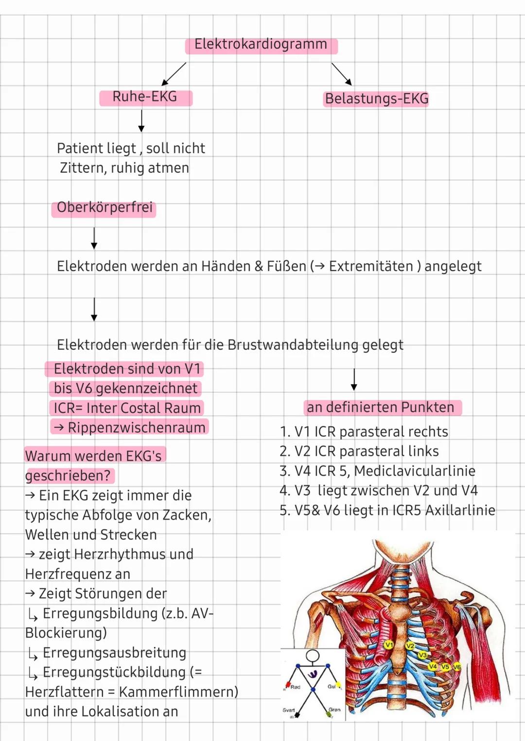 Elektrokardiogramm (EKG)

PQ-Welle
R-Zacke
R
ST-
P-Welle
Strecke
12
HIS-
Bündel
T-Welle
Vorhof-
AV-Knoten
Q
erregung
(Zeitliche
Q-Zacke
1. E