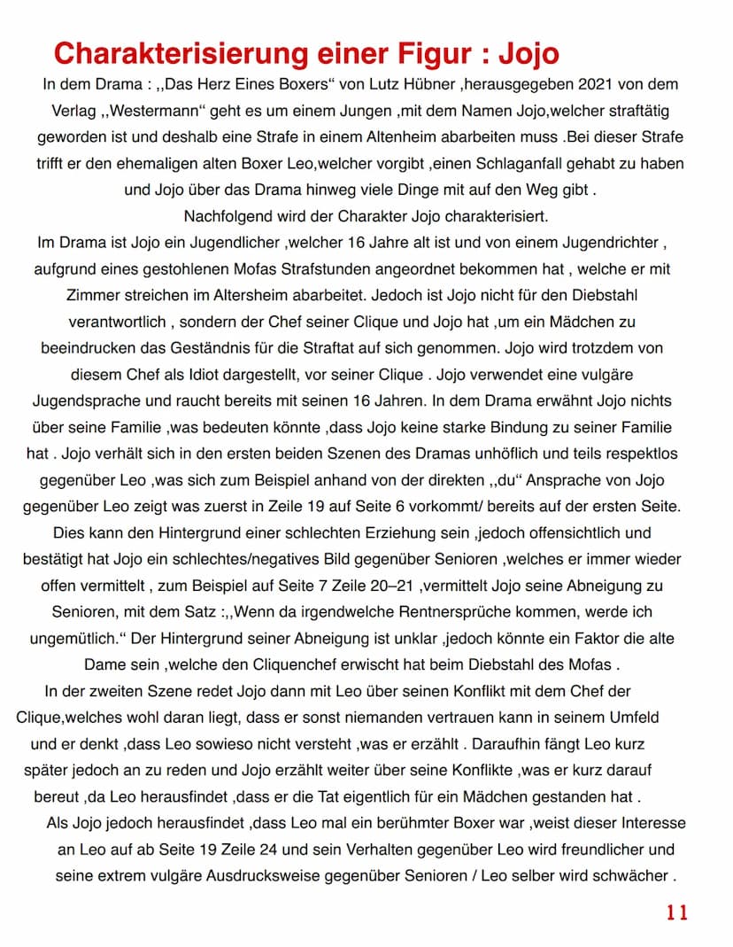 DAS HERZ EINES BOXERS -LUTZ HÜBNER
Portfolio Fach :Deutsch
Von J. A. Hahne Szenenanalyse zu Szene 2
In der zweiten Szene aus dem Buch „, Das