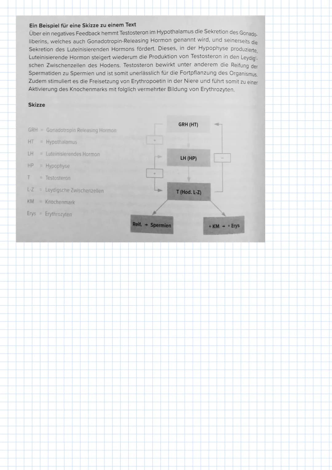 Informationen:
•24 Aufgaben
60 Minuten
= 15 min pro Text/Aufgaben
Textverständnis
Aufbau Textverständnisaufgabe
4.000-5.000 Zeichen langer T