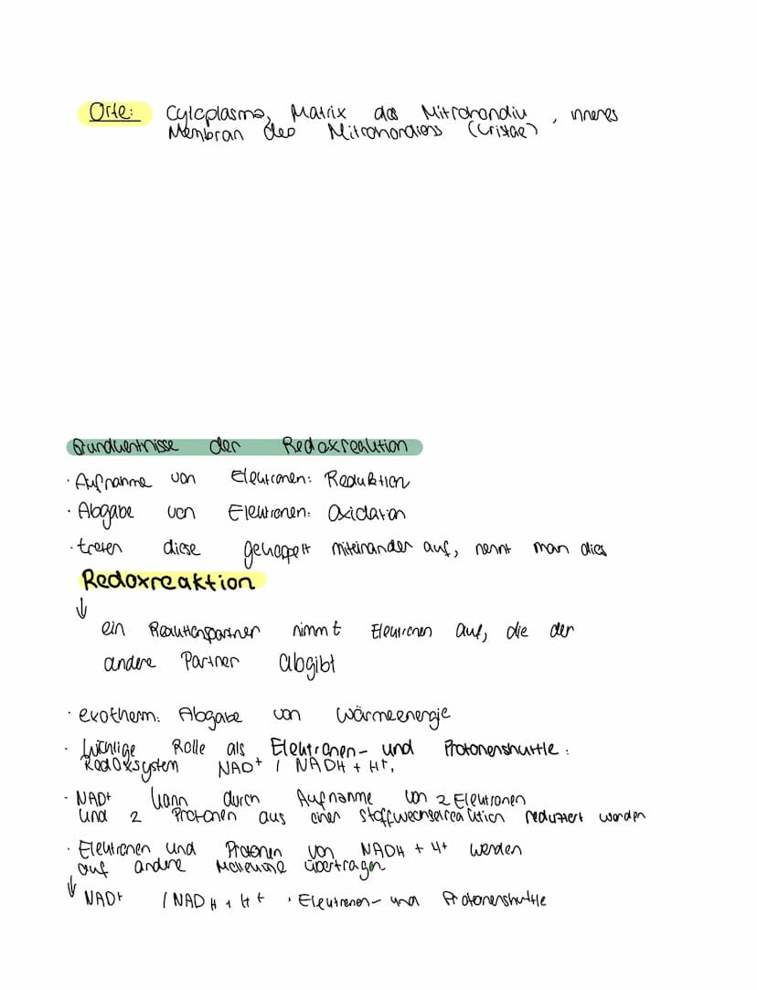 Grundkentnisse den
Gleichung
Сънлч 06 +
1. Glykolyse
2. Oxidative Dcarboxylierung
Glucose + Sauerstoff → uche erstaffellexion + wasser
Zella