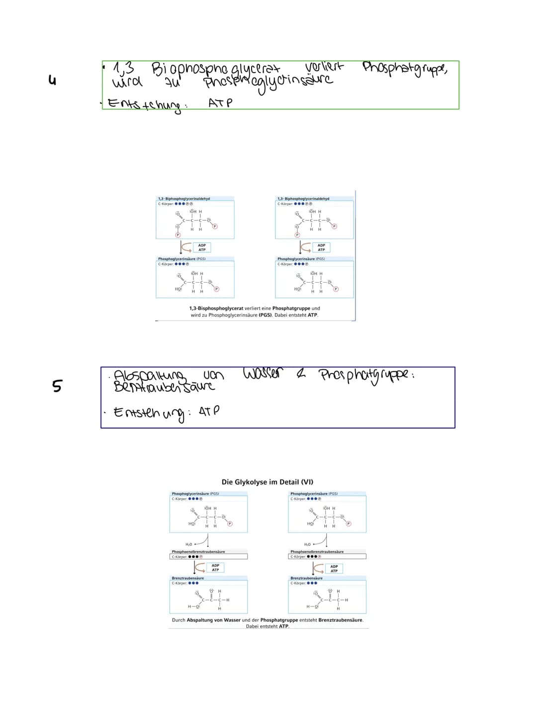 Grundkentnisse den
Gleichung
Сънлч 06 +
1. Glykolyse
2. Oxidative Dcarboxylierung
Glucose + Sauerstoff → uche erstaffellexion + wasser
Zella