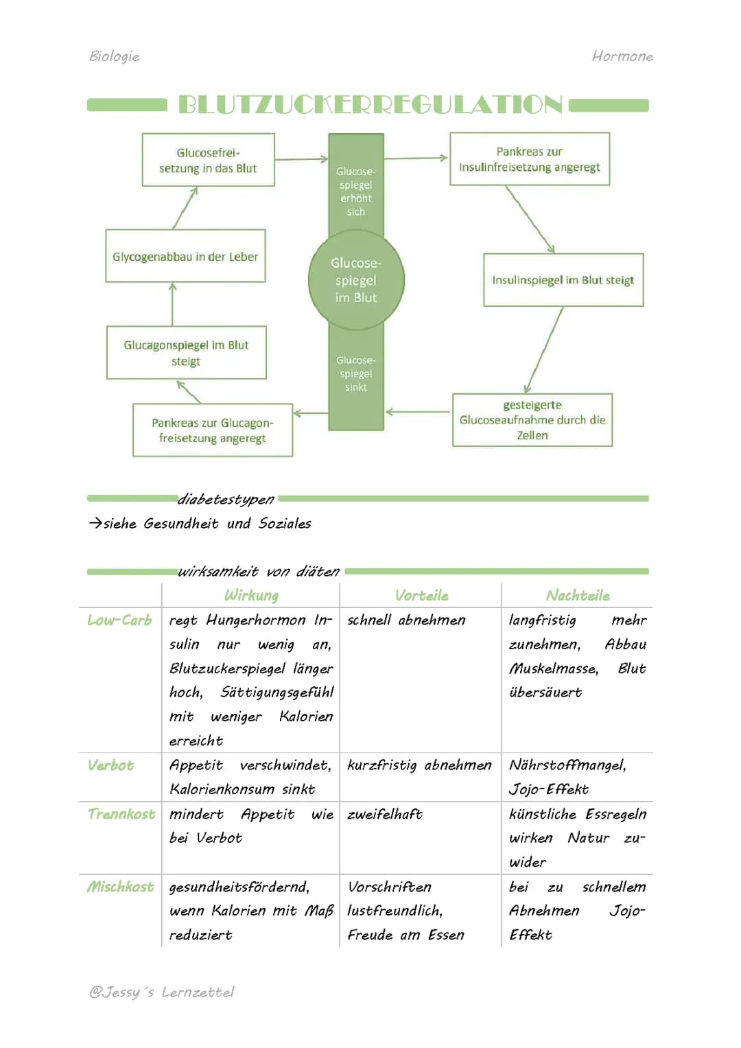 Blutzuckerregulation