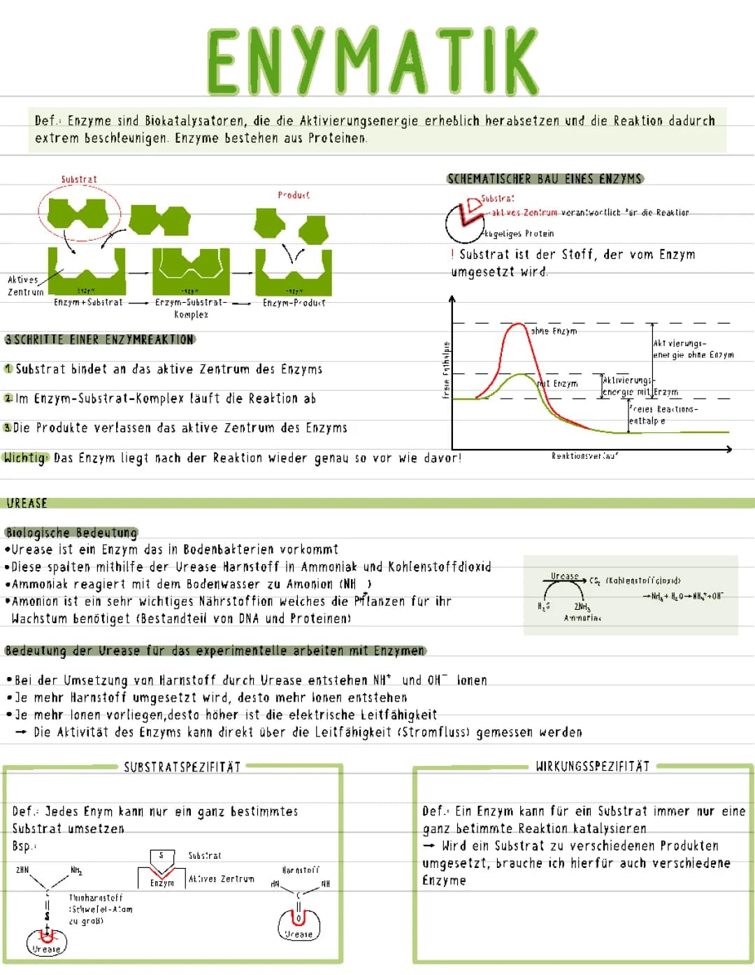Enzymatik