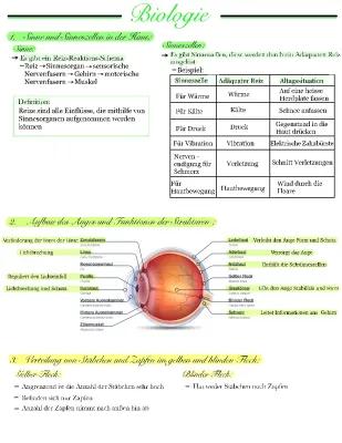 Know Biologie Lernzettel thumbnail