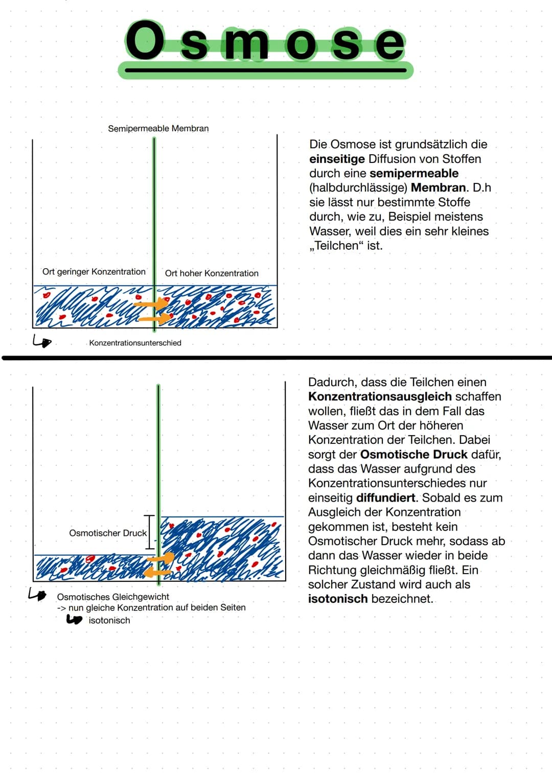 Osmose
Semipermeable Membran
Ort geringer Konzentration
Ort hoher Konzentration
wor
Konzentrationsunterschied
Osmotischer Druck
Osmotisches 