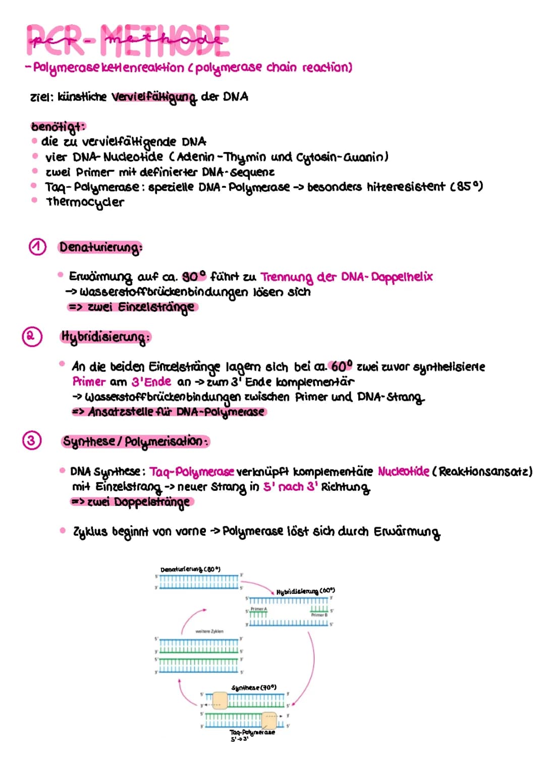 Angewandte Genetik 