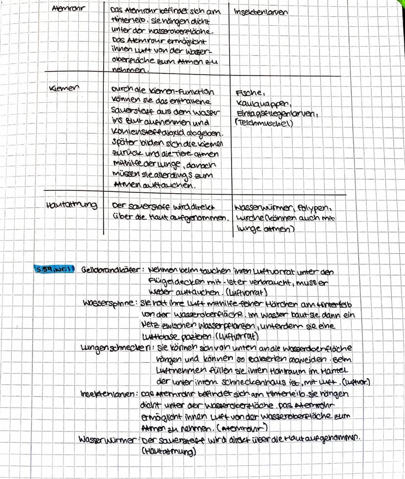 ATEMSTRATEGIEN
Wassertiere können den im Wasser ge-
Lösten Sauerstoff mit unterschiedlichen
organen aufnehmen. Das führt in einem
Gewässer a
