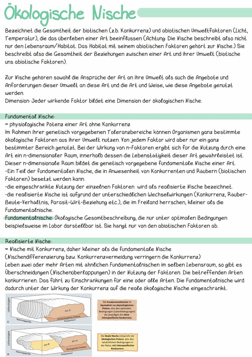 
<h2 id="kologie">Ökologie</h2>
<p>Die Ökologie ist die Wissenschaft, die sich mit den Wechselbeziehungen zwischen den Organismen und ihrer 