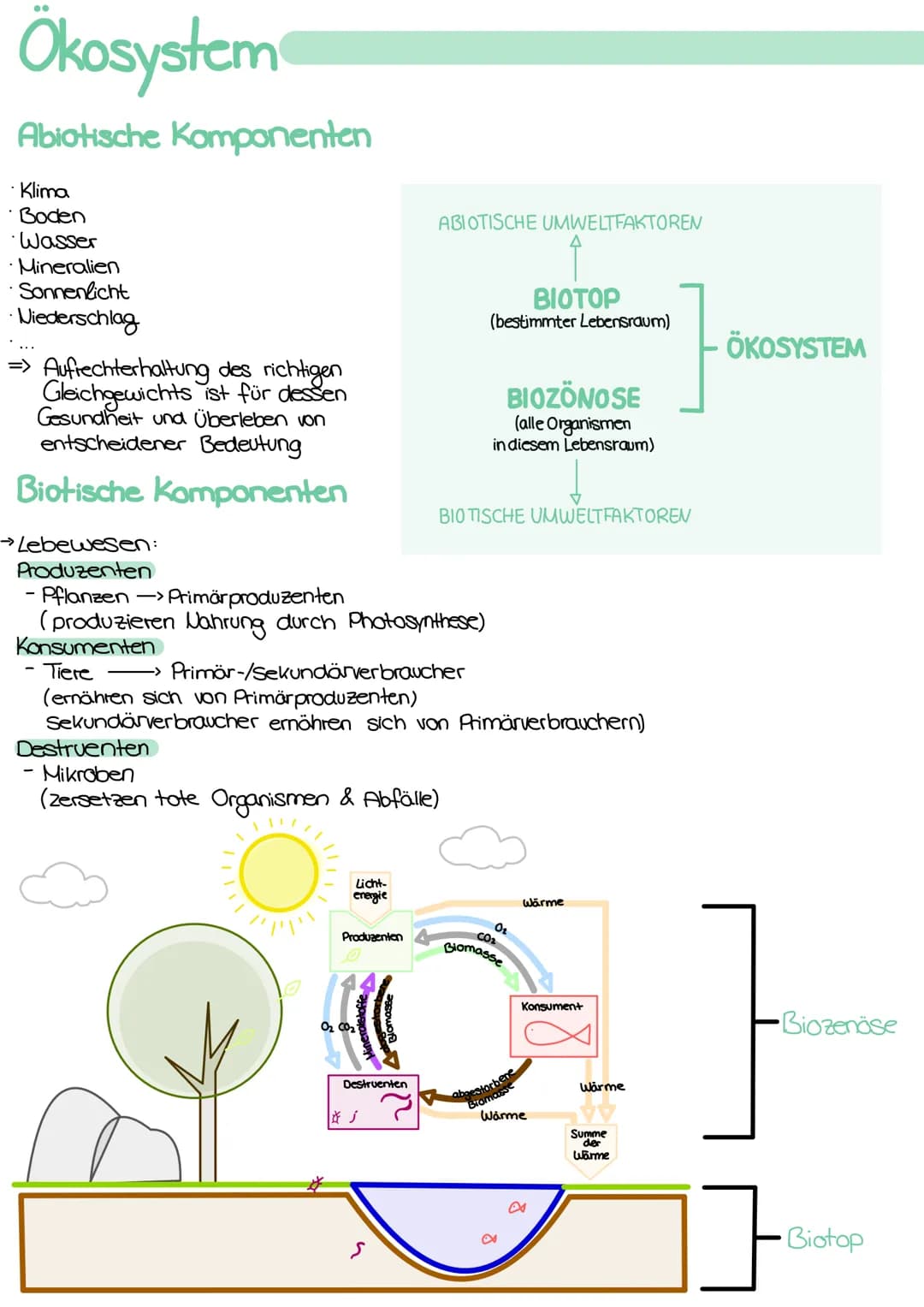 
<h2 id="kologie">Ökologie</h2>
<p>Die Ökologie ist die Wissenschaft, die sich mit den Wechselbeziehungen zwischen den Organismen und ihrer 