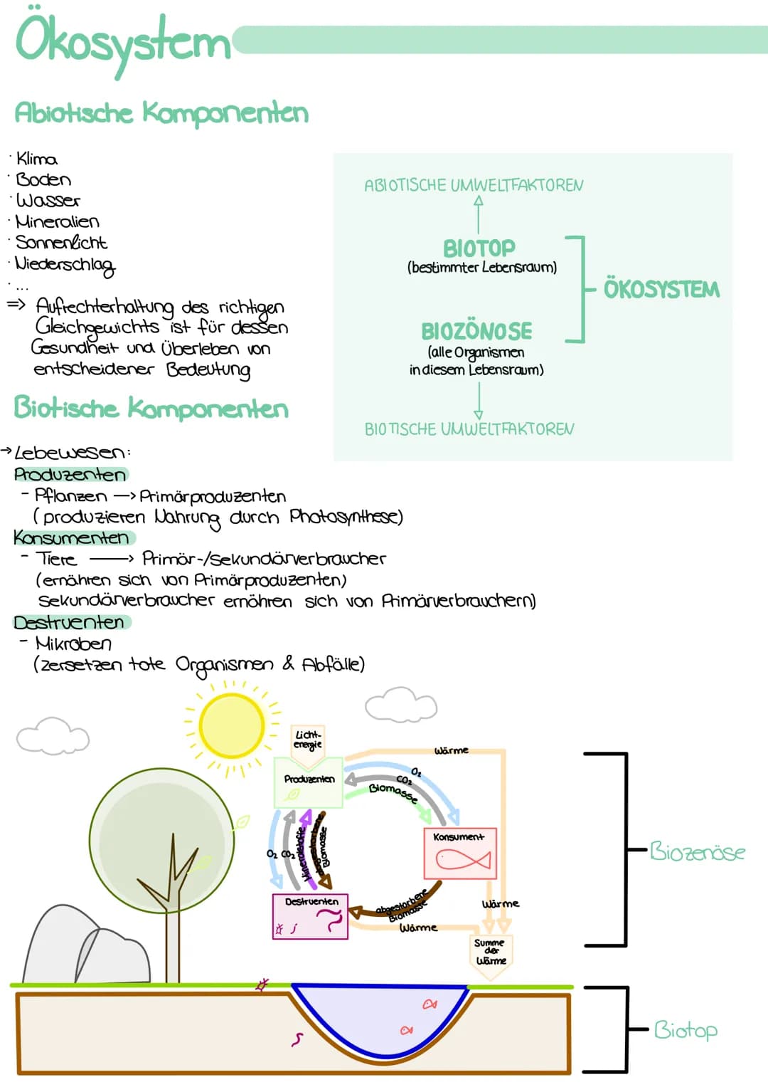 
<h2 id="kologie">Ökologie</h2>
<p>Die Ökologie ist die Wissenschaft, die sich mit den Wechselbeziehungen zwischen den Organismen und ihrer 