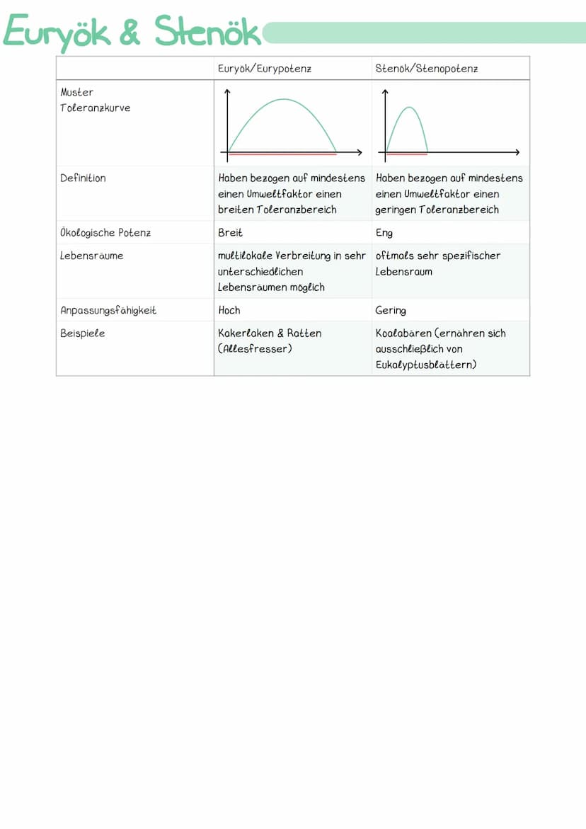 
<h2 id="kologie">Ökologie</h2>
<p>Die Ökologie ist die Wissenschaft, die sich mit den Wechselbeziehungen zwischen den Organismen und ihrer 