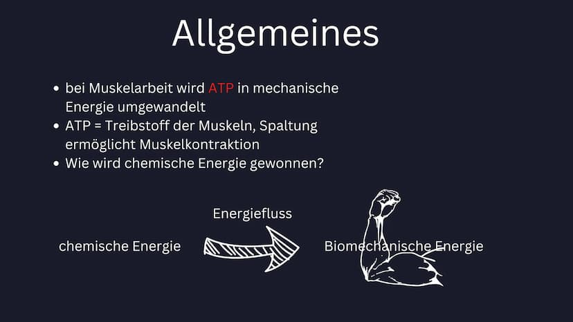 aerobe/anaerobe
Energiegewinnung im Sport Gliederung
Allgemeines
Anaerobe/Aerobe Energiegewinnung
Laktazid/Alaktazid
Wie ermitteln Sportler 