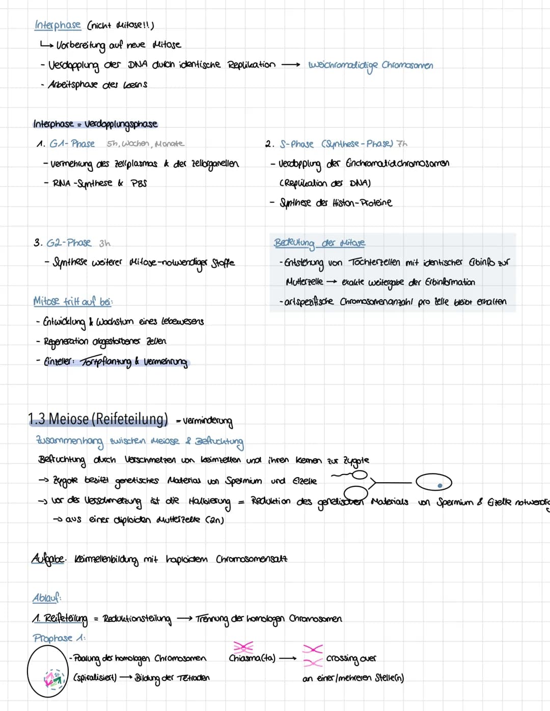 Genetik - Vererbungslehre
1. Einführung
1.1 Definition
Vererbung → Weitergabe der genetischen Information
Mutter
Eizelle
Zygote"
Nachkommen 
