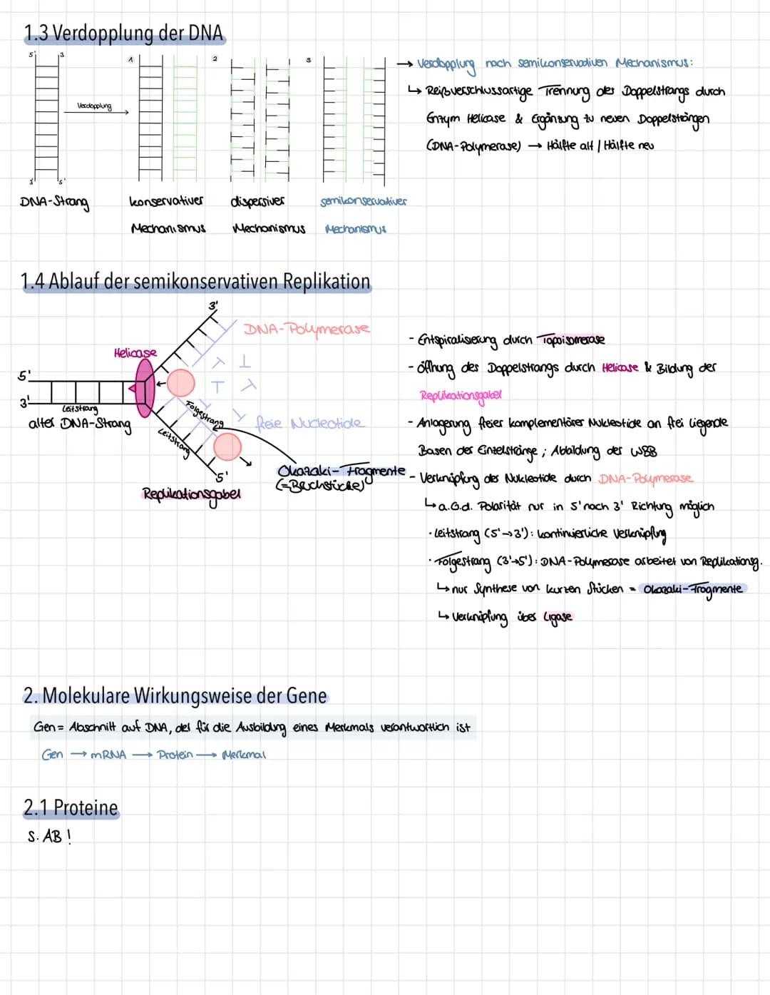Genetik - Vererbungslehre
1. Einführung
1.1 Definition
Vererbung → Weitergabe der genetischen Information
Mutter
Eizelle
Zygote"
Nachkommen 