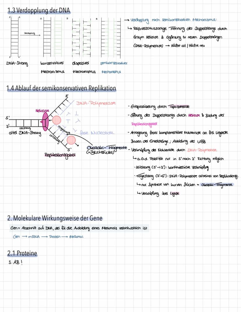 Genetik - Vererbungslehre
1. Einführung
1.1 Definition
Vererbung → Weitergabe der genetischen Information
Mutter
Eizelle
Zygote"
Nachkommen 