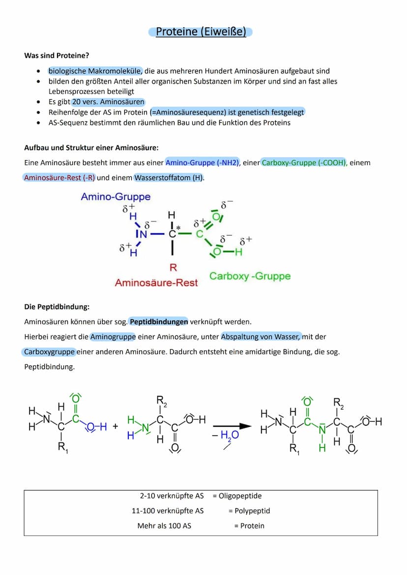 Genetik - Vererbungslehre
1. Einführung
1.1 Definition
Vererbung → Weitergabe der genetischen Information
Mutter
Eizelle
Zygote"
Nachkommen 