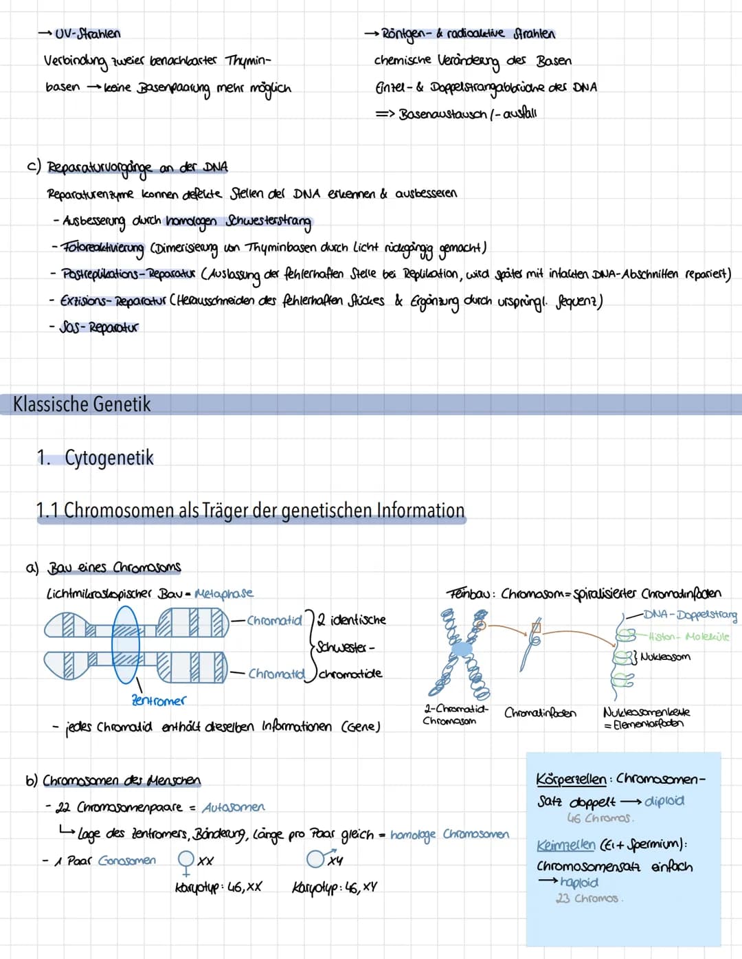 Genetik - Vererbungslehre
1. Einführung
1.1 Definition
Vererbung → Weitergabe der genetischen Information
Mutter
Eizelle
Zygote"
Nachkommen 