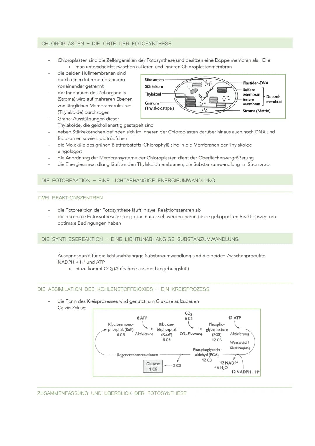 ÖKOLOGISCHE VERFLECHTUNGEN UND NACHHALTIGE NUTZUNG
WECHSELBEZIEHUNGEN ZWISCHEN LEBEWESEN UND IHRER UMWELT
GRUNDBEGRIFFE IN DER ÖKOLOGIE
Ökol