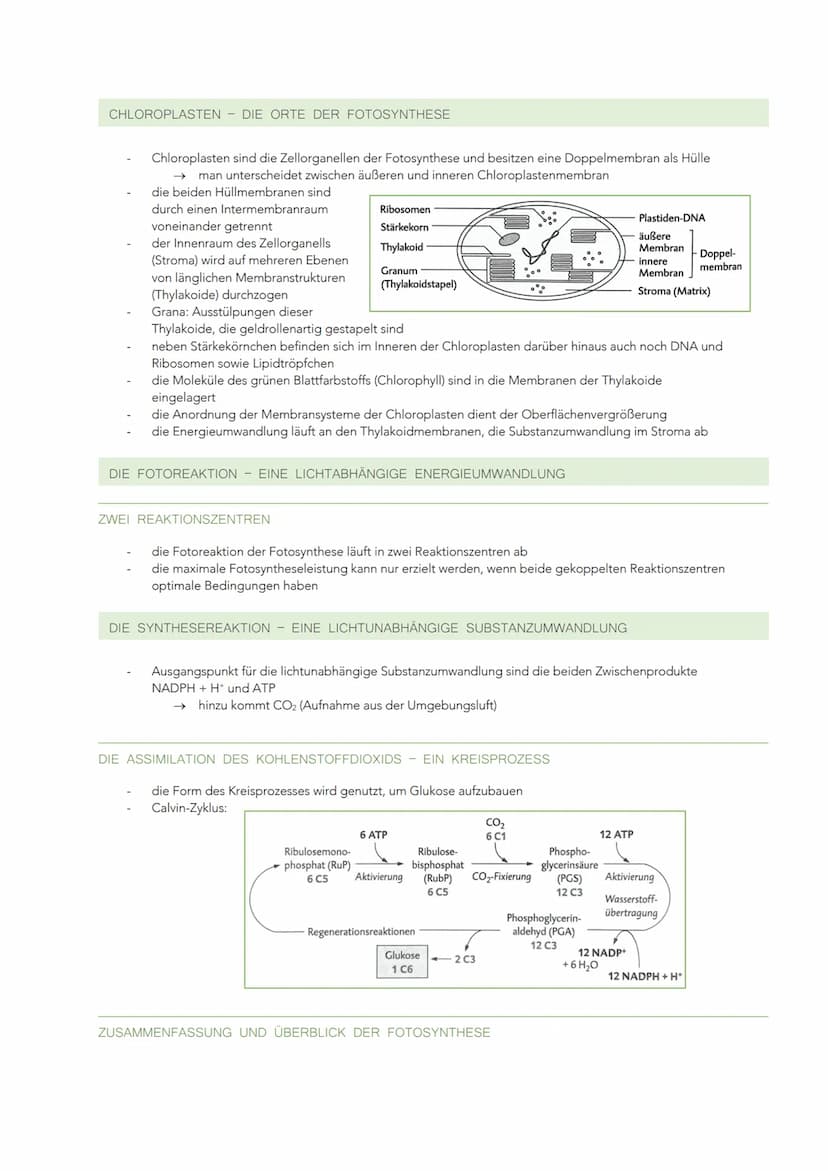 ÖKOLOGISCHE VERFLECHTUNGEN UND NACHHALTIGE NUTZUNG
WECHSELBEZIEHUNGEN ZWISCHEN LEBEWESEN UND IHRER UMWELT
GRUNDBEGRIFFE IN DER ÖKOLOGIE
Ökol