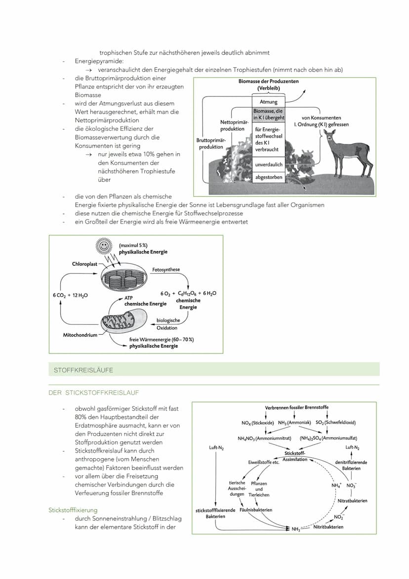 ÖKOLOGISCHE VERFLECHTUNGEN UND NACHHALTIGE NUTZUNG
WECHSELBEZIEHUNGEN ZWISCHEN LEBEWESEN UND IHRER UMWELT
GRUNDBEGRIFFE IN DER ÖKOLOGIE
Ökol