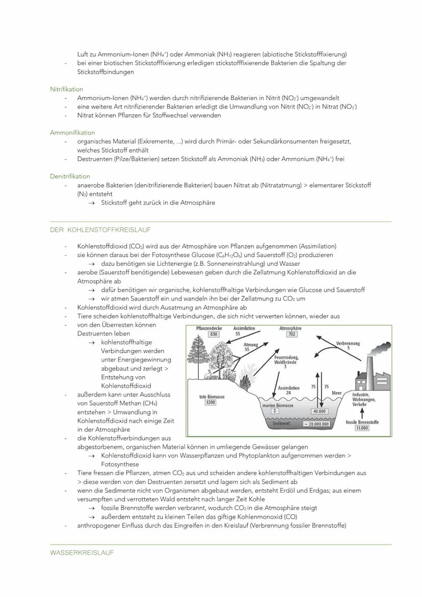 ÖKOLOGISCHE VERFLECHTUNGEN UND NACHHALTIGE NUTZUNG
WECHSELBEZIEHUNGEN ZWISCHEN LEBEWESEN UND IHRER UMWELT
GRUNDBEGRIFFE IN DER ÖKOLOGIE
Ökol