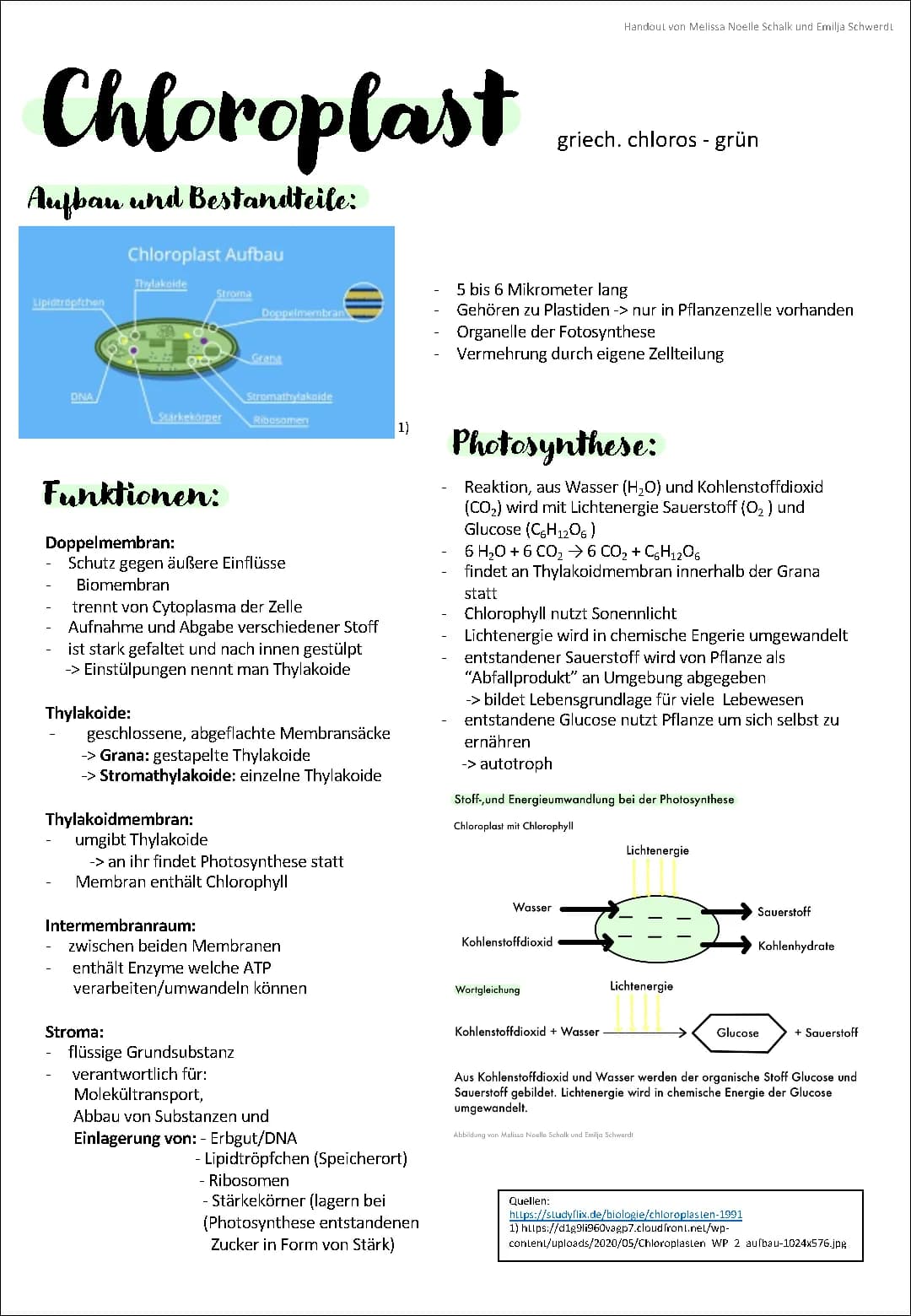 Chloroplasten