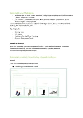Know Systematik und Phylogenie in der Zoologie thumbnail