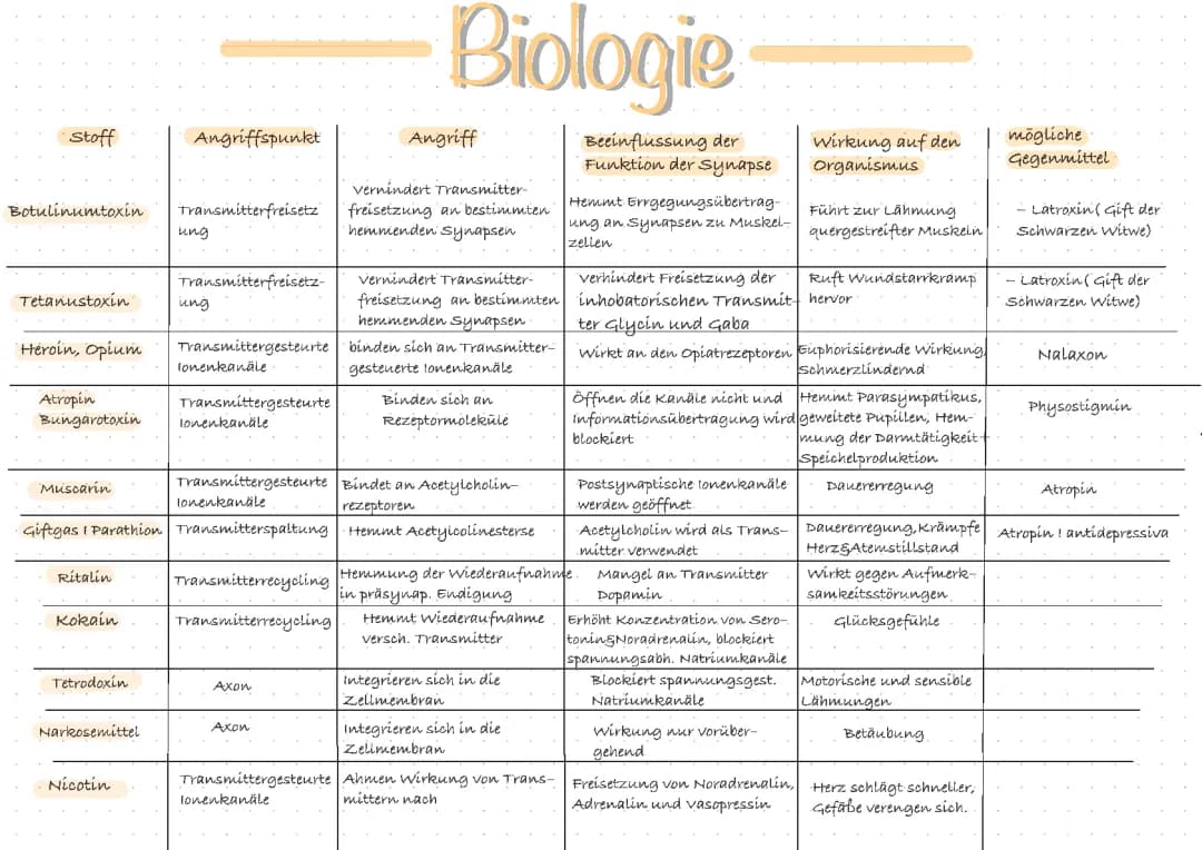 Synapsengifte: Beispiele, Wirkungen, und Arbeitsblätter für dich