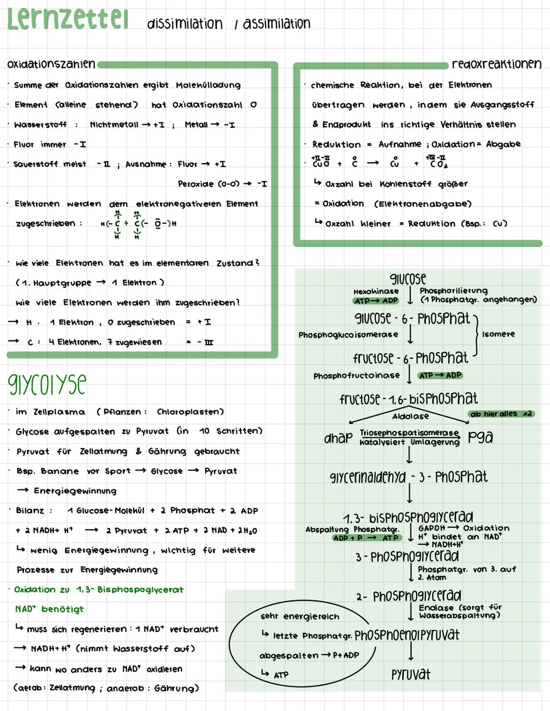 Lernzettel dissimilation / assimilation
Oxidationszanien
Summe der Oxidationszahlen ergibt Molehülladung
· Element Calleine stehend) hat Oxi