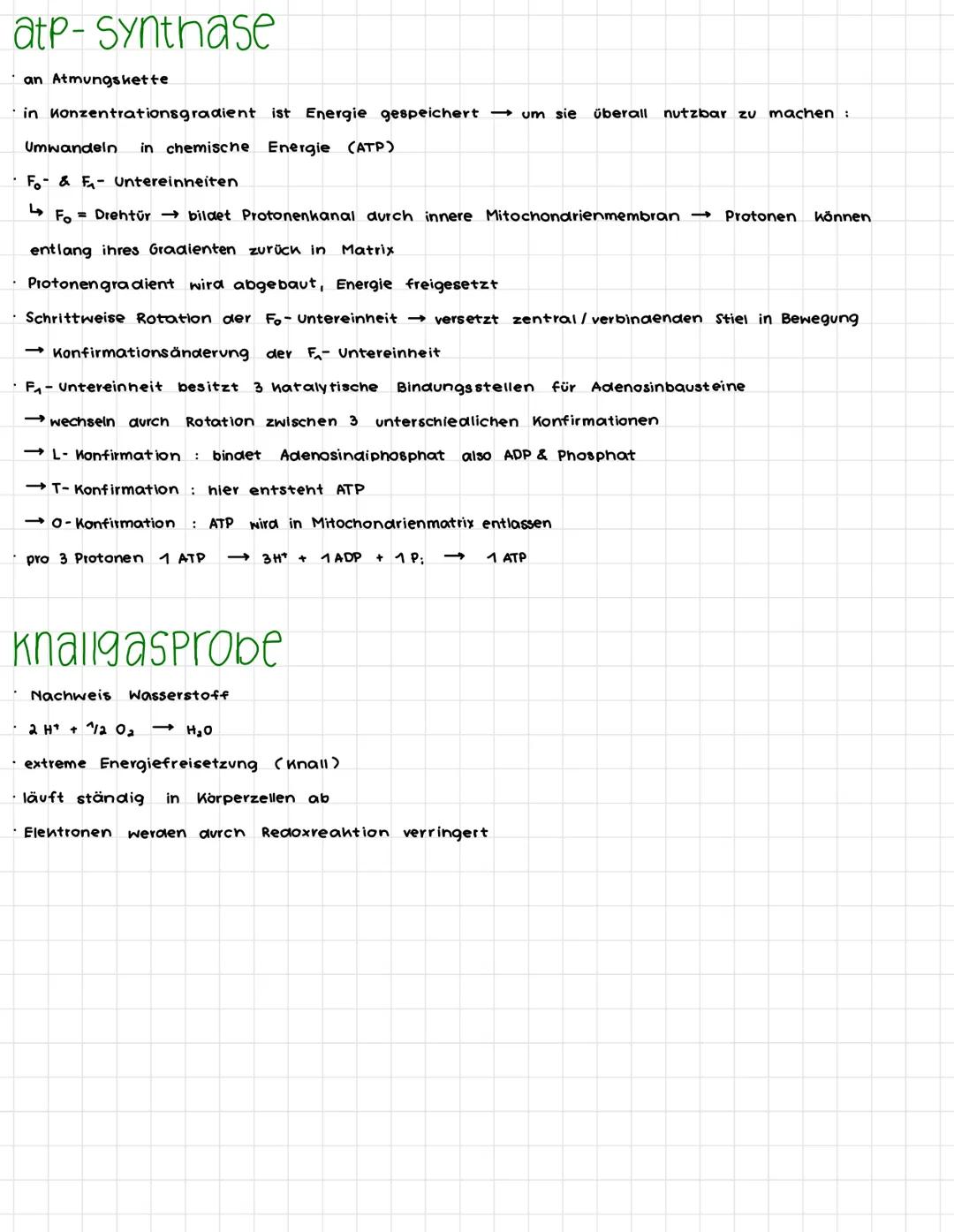 Lernzettel dissimilation / assimilation
Oxidationszanien
Summe der Oxidationszahlen ergibt Molehülladung
· Element Calleine stehend) hat Oxi