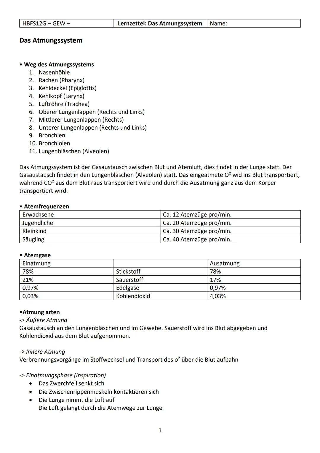 HBFS12G - GEW-
Das Atmungssystem
• Weg des Atmungssystems
1. Nasenhöhle
2. Rachen (Pharynx)
3. Kehldeckel (Epiglottis)
4. Kehlkopf (Larynx)
