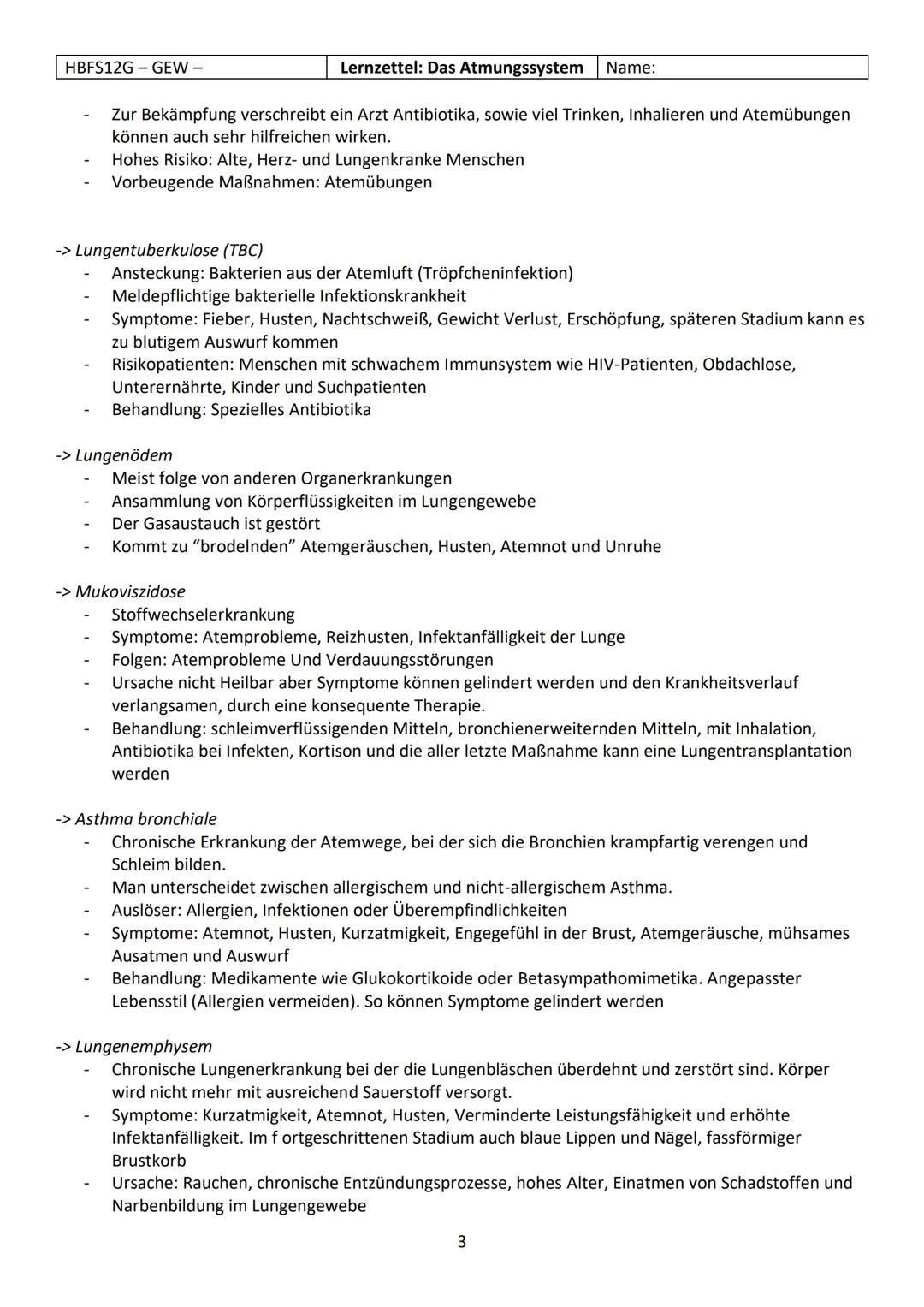 HBFS12G - GEW-
Das Atmungssystem
• Weg des Atmungssystems
1. Nasenhöhle
2. Rachen (Pharynx)
3. Kehldeckel (Epiglottis)
4. Kehlkopf (Larynx)
